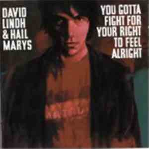 David Lindh & Hail Marys - You Gotta Fight For Your Right To Feel Alright