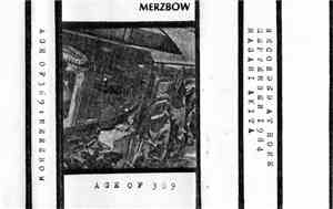 Merzbow - Age Of 369