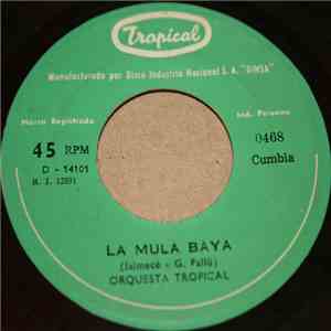 Orquesta Tropical - La Mula Baya