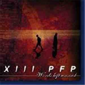 XIII PFP - Words Left Unsaid