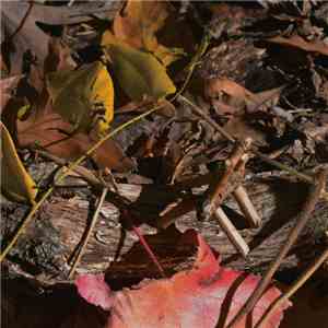 Rhucle - White Ditties