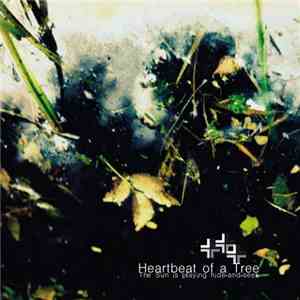 Heartbeat of a Tree - The Sun is playing hide​-​and​-​seek