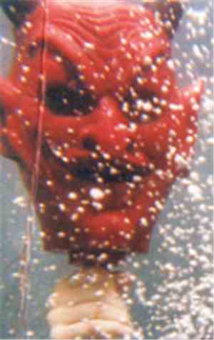 Ty Segall - Ty Segall