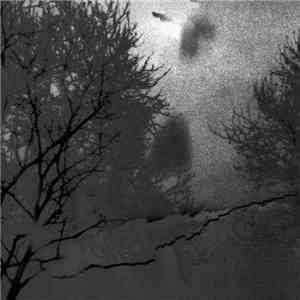 Aube Grise - Mauvais Augure