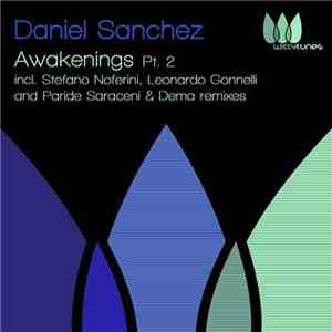 Daniel Sanchez - Awakenings Pt. 2