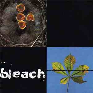 Bleach  - Bleach