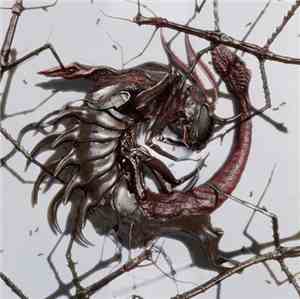 Dasychira - Immolated EP