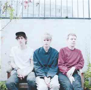 Crushed Beaks - Feelers