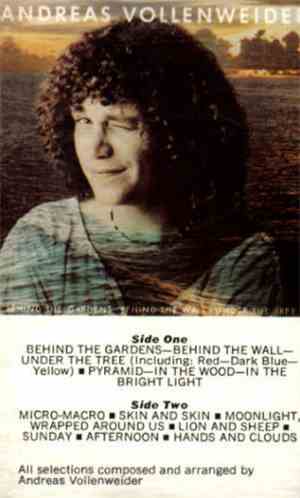 Andreas Vollenweider - ... Behind The Gardens - Behind The Wall - Under The ...