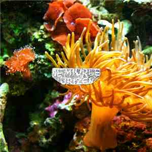 Demiurge Urizen - Subsea
