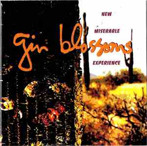 Gin Blossoms - New Miserable Experience
