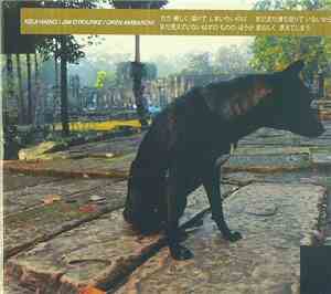 Keiji Haino / Jim O'Rourke / Oren Ambarchi - ただ美しく溶けてしまいたいのに　まだまだ満ち足りていないから ...