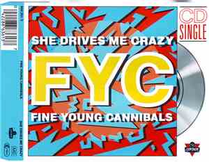 Fine Young Cannibals - She Drives Me Crazy