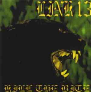 Link 13 - Kill The Bite
