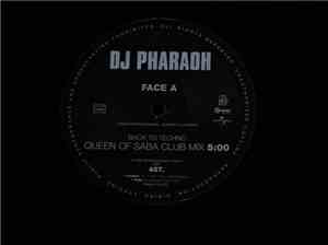 DJ Pharaoh - Back To Techno