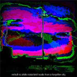 mr.Bull vs. Static Noise Bird - Audio From A Forgotten City
