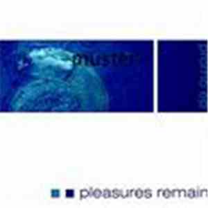 Pleasures Remain - Promo EP