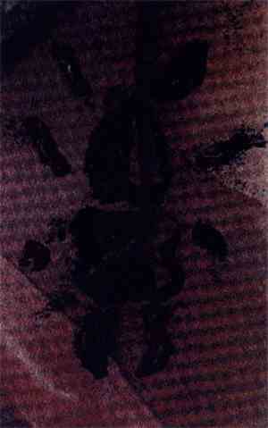 The Infant Cycle - Froth
