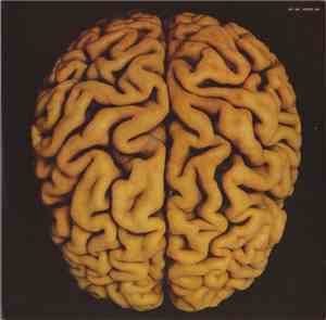 The Rip-Off Artist - Brain Salad Surgery