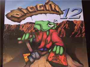 Various - Diggin 12