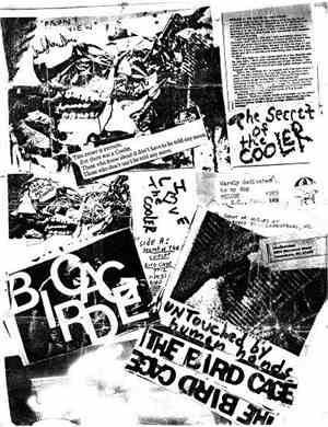 Eugene Chadbourne - The Secret Of The Cooler / Bird Cage