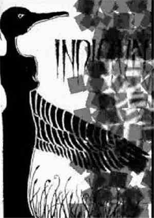 Indicium - Indicium