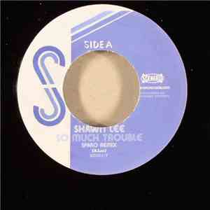 Shawn Lee - So Much Trouble