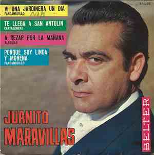 Juanito Maravillas - Vi Una Jardinera Un Dia / Te Llega A San Antolin / A R ...