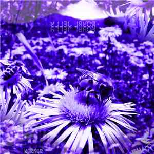 Royal Jelly  - Worker