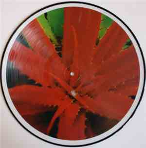 Jejune - This Afternoons Malady