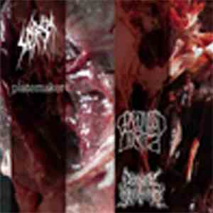 Sete Star Sept / Platemaker / Psychotic Sufferance / Gorgonized Dorks - Sete Star Sept / Platemaker / Psychotic Sufferance / Gorgonized Dorks