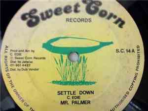 Mr. Palmer -       Settle Down / Wine Bar Party