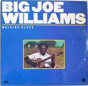 Big Joe Williams - Walking Blues