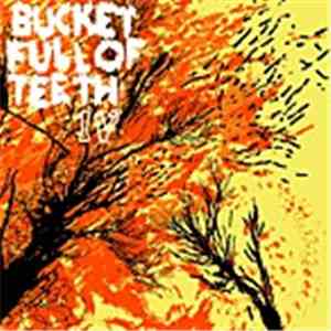 Bucket Full Of Teeth - IV