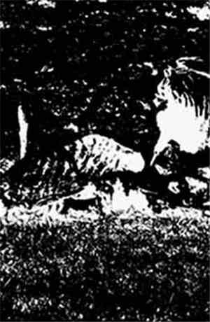 Durazis - Feast Of Human Death
