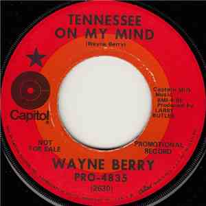 Wayne Berry - Tennessee On My Mind