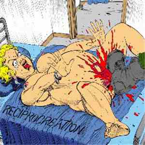Deifecation - Reciprocreation
