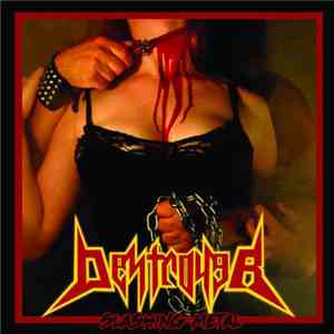 Destroyer  - Slashing Metal