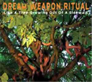 Dream Weapon Ritual - Like A Tree Growing Out Of A Sidewalk