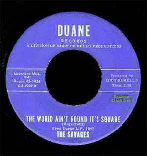 The Savages  - The World Ain't Round It's Square