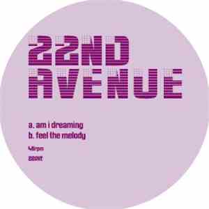 22nd Avenue - Am I Dreaming / Feel The Melody