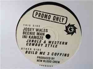 Josey Wales, Beenie Man & Ini Kamoze - Jungle & Western Cowboy Style / Buil ...