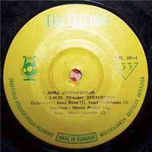 Orchestra Ionel Banu / Orchestra Ionel Budișteanu - Hora Bucureștilor