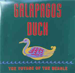 Galapagos Duck - The Voyage Of The Beagle