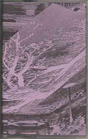 Night Court - Cavity Surge II