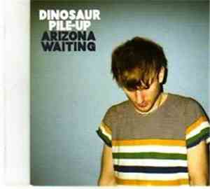 Dinosaur Pile-Up - Arizona Waiting