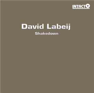 David Labeij - Shakedown