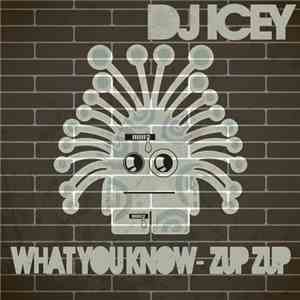 DJ Icey - What You Know / Zup Zup