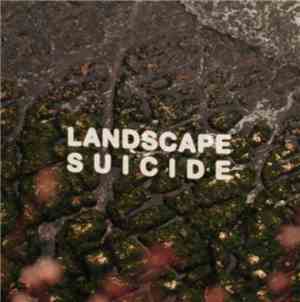 Nicola Tirabasso, Valerio Maiolo - Landscape Suicide Split