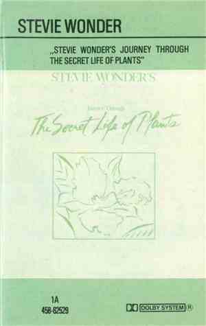 Stevie Wonder - Journey Through The Secret Life Of Plants
